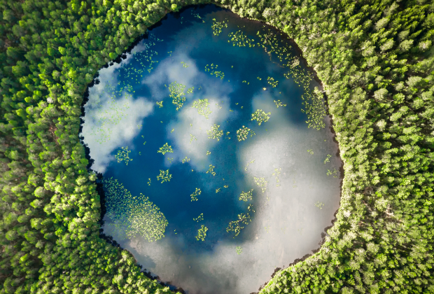Image Climate and Biodiversity Loss Risks